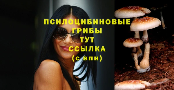 мяу мяу мука Лабытнанги